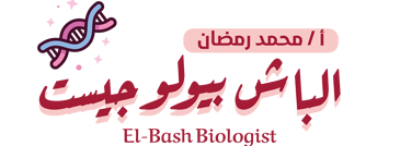 site logo